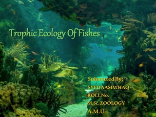 Trophic Ecology Of Fishes
SubmittedBy;
SYEDAASIMHAQ
ROLLNo.
A.M.U
M.Sc.ZOOLOGY
 