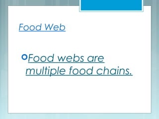 Food Web
Food webs are
multiple food chains.
 