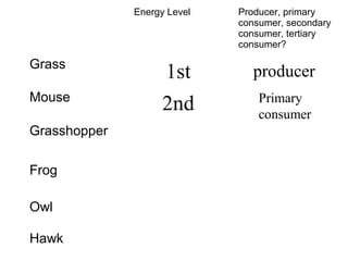 Energy Level Producer, primary
consumer, secondary
consumer, tertiary
consumer?
Grass
Mouse
Grasshopper
Frog
Owl
Hawk
1st producer
2nd Primary
consumer
 