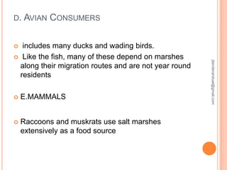 D. AVIAN

CONSUMERS

includes many ducks and wading birds.
 Like the fish, many of these depend on marshes
along their migration routes and are not year round
residents


E.MAMMALS



Raccoons and muskrats use salt marshes
extensively as a food source

jitenderanduat@gmail.com



 