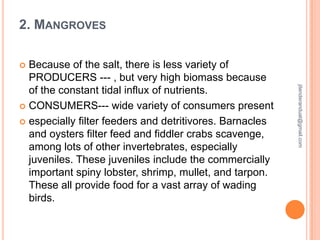 2. MANGROVES
Because of the salt, there is less variety of
PRODUCERS --- , but very high biomass because
of the constant tidal influx of nutrients.
 CONSUMERS--- wide variety of consumers present
 especially filter feeders and detritivores. Barnacles
and oysters filter feed and fiddler crabs scavenge,
among lots of other invertebrates, especially
juveniles. These juveniles include the commercially
important spiny lobster, shrimp, mullet, and tarpon.
These all provide food for a vast array of wading
birds.


jitenderanduat@gmail.com

 