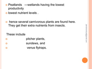 Peatlands ---wetlands having the lowest
productivity
 lowest nutrient levels .




These include




pitcher plants,
sundews, and
venus flytraps.

jitenderanduat@gmail.com

hence several carnivorous plants are found here.
They get their extra nutrients from insects.

 