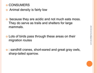 CONSUMERS
 Animal density is fairly low


because they are acidic and not much eats moss.
They do serve as trails and shelters for large
mammals.



Lots of birds pass through these areas on their
migration routes



: sandhill cranes, short-eared and great gray owls,
sharp-tailed sparrow.

jitenderanduat@gmail.com



 