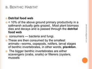B.

BENTHIC HABITAT

Detrital food web
 < 10% of the above ground primary productivity in a
saltmarsh actually gets grazed,. Most plant biomass
dies and decays and is passed through the detrital
food web
 consumers --- bacteria and fungi.
 These are then consumed by the smallest
animals—worms, copepods, rotifers, larval stages
of benthic invertebrates, in other words, plankton.
 The bigger benthic invertebrates are either
scavengers (crabs, snails) or filterers (oysters,
mussels


jitenderanduat@gmail.com

 
