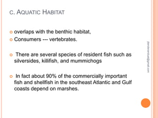 C. AQUATIC

HABITAT

overlaps with the benthic habitat,
 Consumers --- vertebrates.


There are several species of resident fish such as
silversides, killifish, and mummichogs



In fact about 90% of the commercially important
fish and shellfish in the southeast Atlantic and Gulf
coasts depend on marshes.

jitenderanduat@gmail.com



 