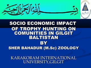 SOCIO ECONOMIC IMPACTSOCIO ECONOMIC IMPACT
OF TROPHY HUNTING ONOF TROPHY HUNTING ON
COMUNITIES IN GILGITCOMUNITIES IN GILGIT
BALTISTANBALTISTAN
BYBY
SHER BAHADUR (M.Sc) ZOOLOGYSHER BAHADUR (M.Sc) ZOOLOGY
KARAKORAM INTERNATIONALKARAKORAM INTERNATIONAL
UNIVERSITY,GILGITUNIVERSITY,GILGIT
 