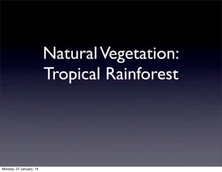 Natural Vegetation:
Tropical Rainforest

Monday, 27 January, 14

 