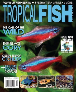Tropical fish hobbyist december 2012