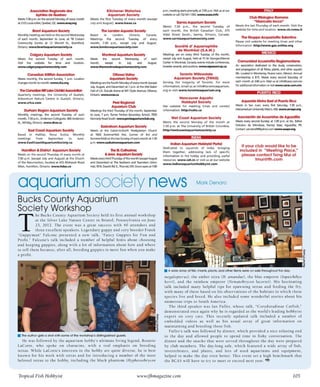 Tropical fish hobbyist october 2012