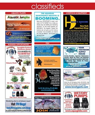 Tropical fish hobbyist october 2012