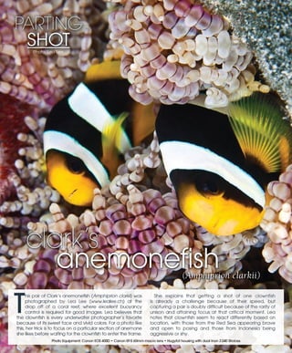 Tropical fish hobbyist october 2012