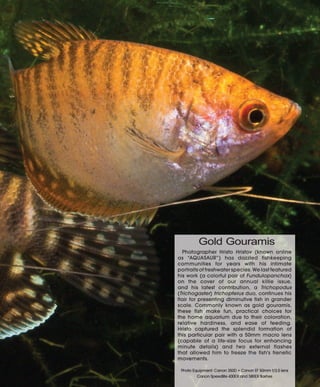 Tropical fish hobbyist october 2012