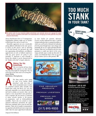 Tropical fish hobbyist october 2012