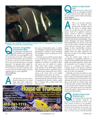 Tropical fish hobbyist october 2012