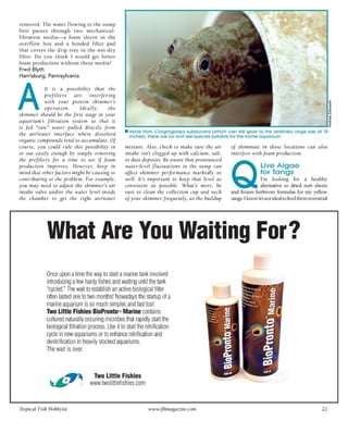 Tropical fish hobbyist october 2012