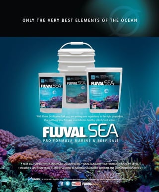 Tropical fish hobbyist october 2012