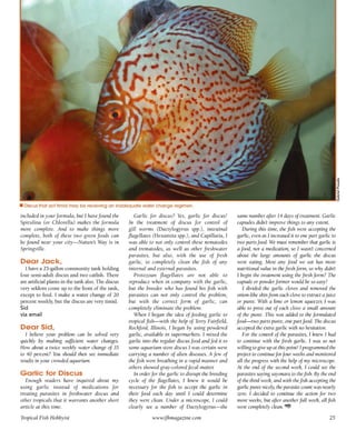 Tropical fish hobbyist october 2012