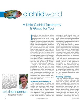 Tropical fish hobbyist october 2012