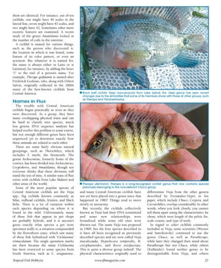 Tropical fish hobbyist october 2012