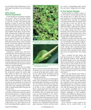 Tropical fish hobbyist october 2012