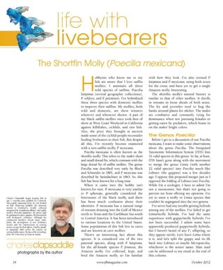 Tropical fish hobbyist october 2012