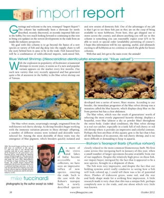 Tropical fish hobbyist october 2012