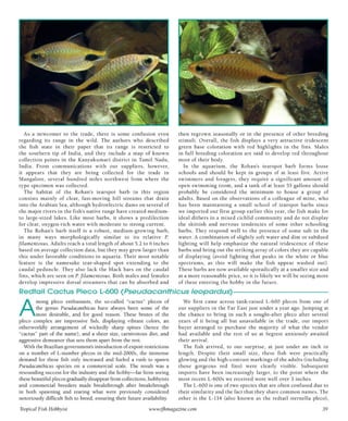 Tropical fish hobbyist october 2012
