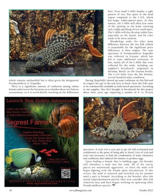 Tropical fish hobbyist october 2012