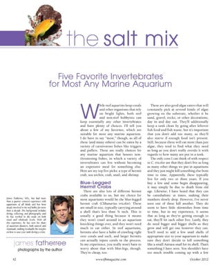 Tropical fish hobbyist october 2012