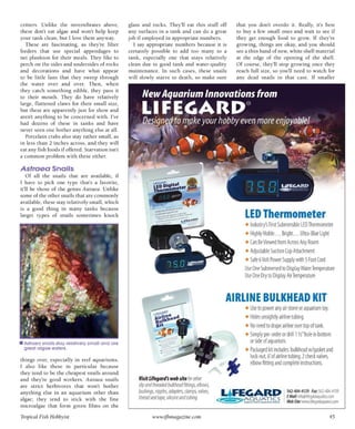 Tropical fish hobbyist october 2012