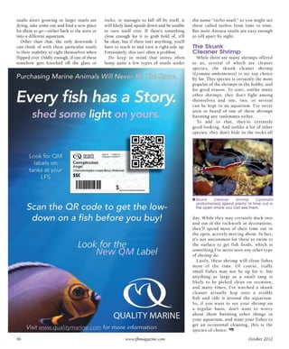 Tropical fish hobbyist october 2012