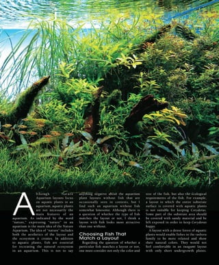 Tropical fish hobbyist october 2012