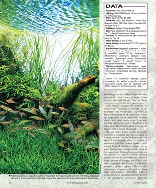 Tropical fish hobbyist october 2012