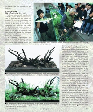 Tropical fish hobbyist october 2012