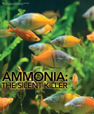 Tropical fish hobbyist october 2012