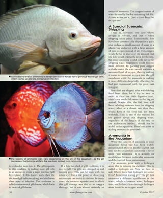 Tropical fish hobbyist october 2012