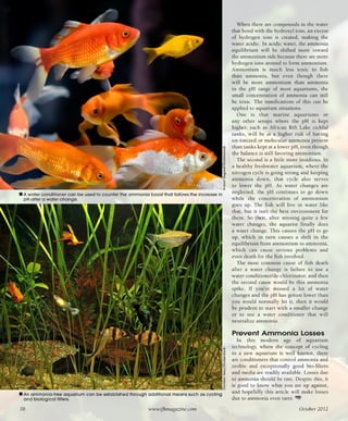 Tropical fish hobbyist october 2012
