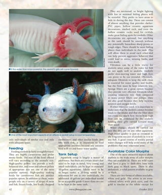 Tropical fish hobbyist october 2012