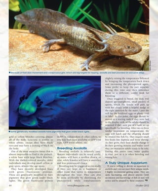 Tropical fish hobbyist october 2012