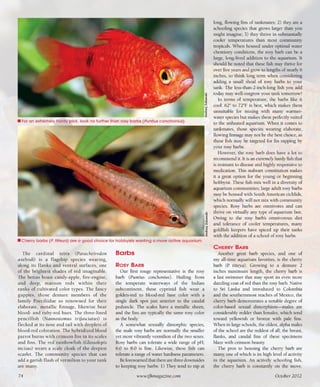 Tropical fish hobbyist october 2012