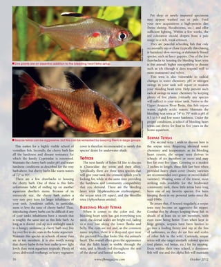 Tropical fish hobbyist october 2012
