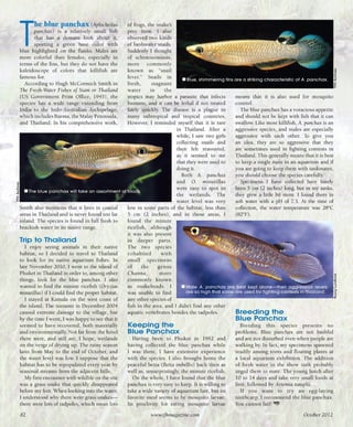 Tropical fish hobbyist october 2012