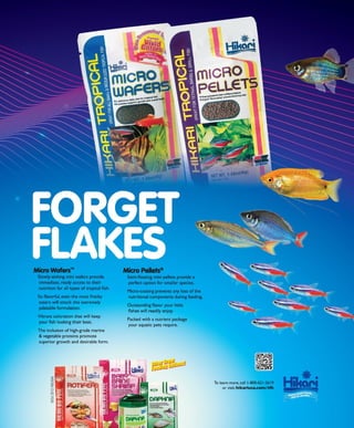 Tropical fish hobbyist october 2012