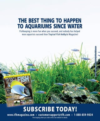 Tropical fish hobbyist october 2012