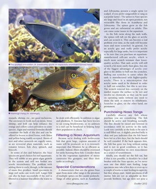 Tropical fish hobbyist october 2012
