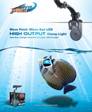 Tropical fish hobbyist october 2012