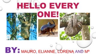 HELLO EVERY
ONE!
BY:MAURO, ELIANNE, LORENA AND Mª
 