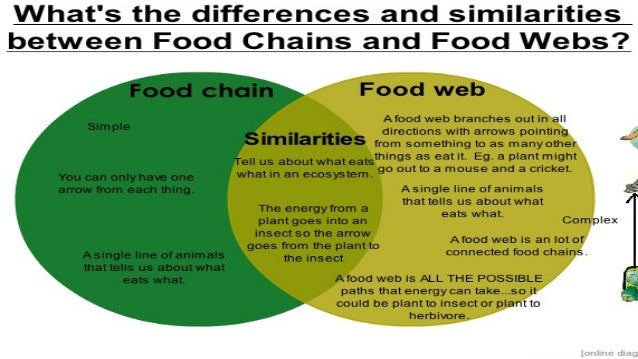 tropical elianne m 170 asun mauro food web and food chain venn diagram