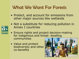 What We Want For Forests Protect, and account for emissions from other major sources like wetlands Not a substitute for reducing pollution in Annex I countries Ensure rights and project decision-making for indigenous and forest- dwelling communities Value and protect  biodiversity and other co-benefits 