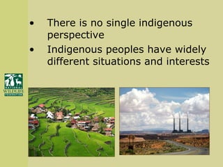 There is no single indigenous perspective Indigenous peoples have widely different situations and interests 